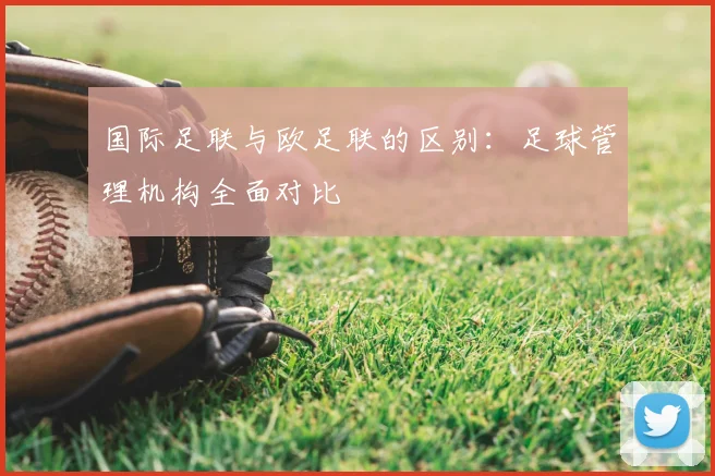 国际足联与欧足联的区别:足球管理机构全面对比