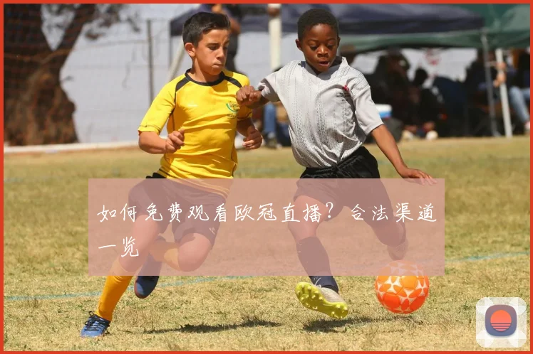 如何免费观看欧冠直播?合法渠道一览