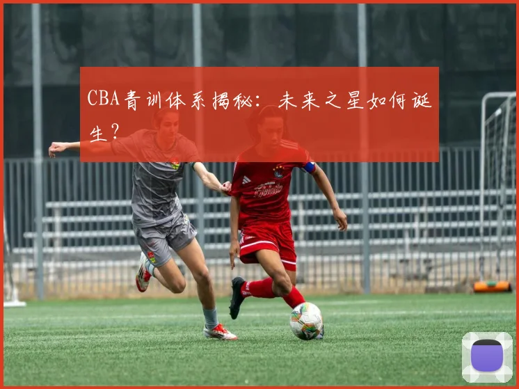 CBA青训体系揭秘:未来之星如何诞生?