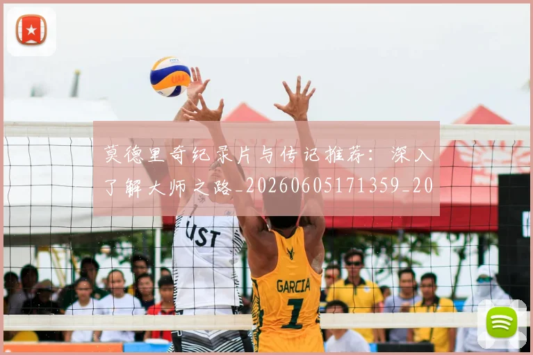 莫德里奇纪录片与传记推荐：深入了解大师之路_20260605171359_20260703181752