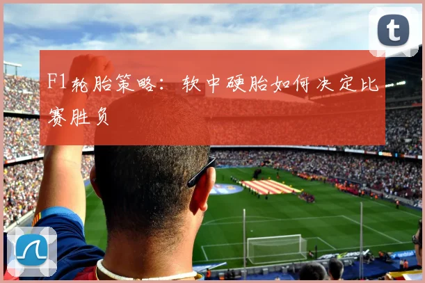 F1轮胎策略:软中硬胎如何决定比赛胜负
